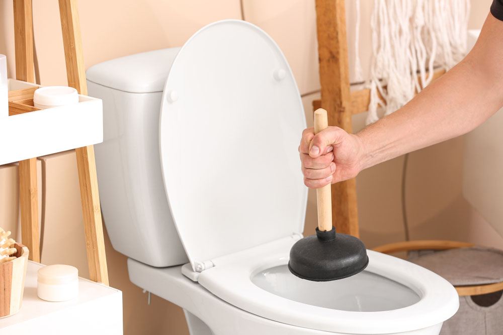 plunger in a toilet plunger in a toilet