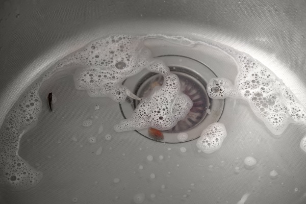 food-debris-clogging-sink-drain food debris clogging sink drain